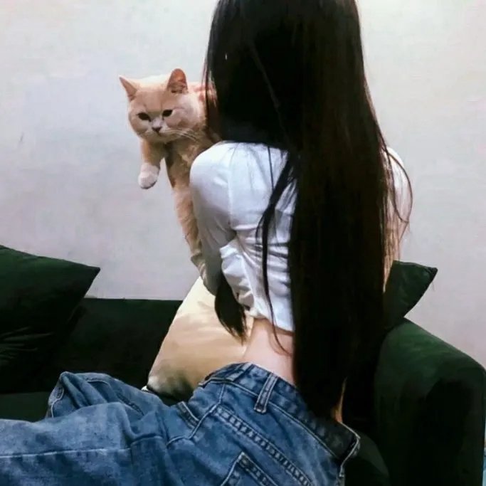 疯狂的豆子 在线观看